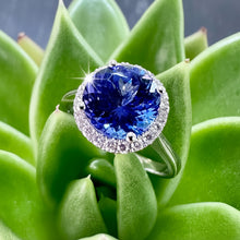 Load image into Gallery viewer, Preloved 18ct White Gold Tanzanite and Diamond Ring