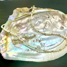 Load image into Gallery viewer, White Freshwater Pearl Necklace With Gold Plated Spacers