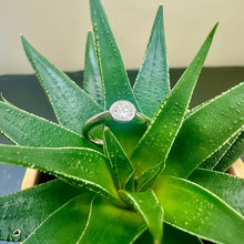 Load image into Gallery viewer, Preloved 18ct White Gold 0.50ct Rubover Diamond Ring