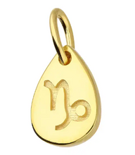Load image into Gallery viewer, Gold Plated Star-sign Pendants / Charms