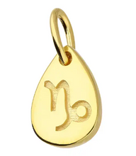 Load image into Gallery viewer, Gold Plated Star-sign Pendants / Charms
