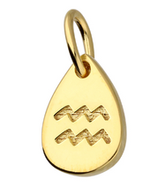 Load image into Gallery viewer, Gold Plated Star-sign Pendants / Charms