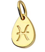 Load image into Gallery viewer, Gold Plated Star-sign Pendants / Charms