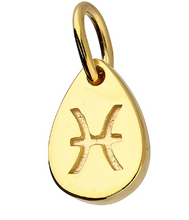 Load image into Gallery viewer, Gold Plated Star-sign Pendants / Charms
