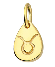 Load image into Gallery viewer, Gold Plated Star-sign Pendants / Charms