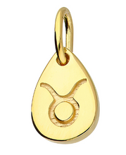 Load image into Gallery viewer, Gold Plated Star-sign Pendants / Charms
