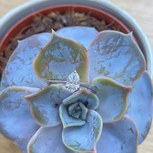 Load image into Gallery viewer, Platinum 0.50ct Pear-Shaped Diamond Engagement Ring