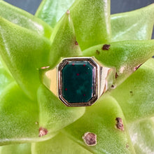 Load image into Gallery viewer, Pre-Loved Blood Stone and 9ct Gold Signet Ring
