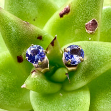 Load image into Gallery viewer, 9ct Yellow Gold and Tanzanite Birthdtone Studs
