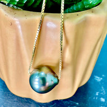 Load image into Gallery viewer, Tahitian Pearl Necklace 14ct Gold
