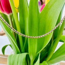 Load image into Gallery viewer, Preloved 8ct Yellow Gold 28” Boxed Belcher Chain
