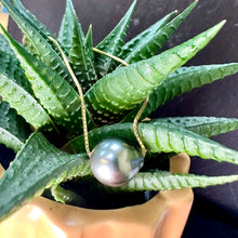 Load image into Gallery viewer, Tahitian Pearl Necklace 14ct Gold
