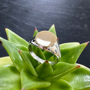 Silver & 9ct Gold Signet Ring