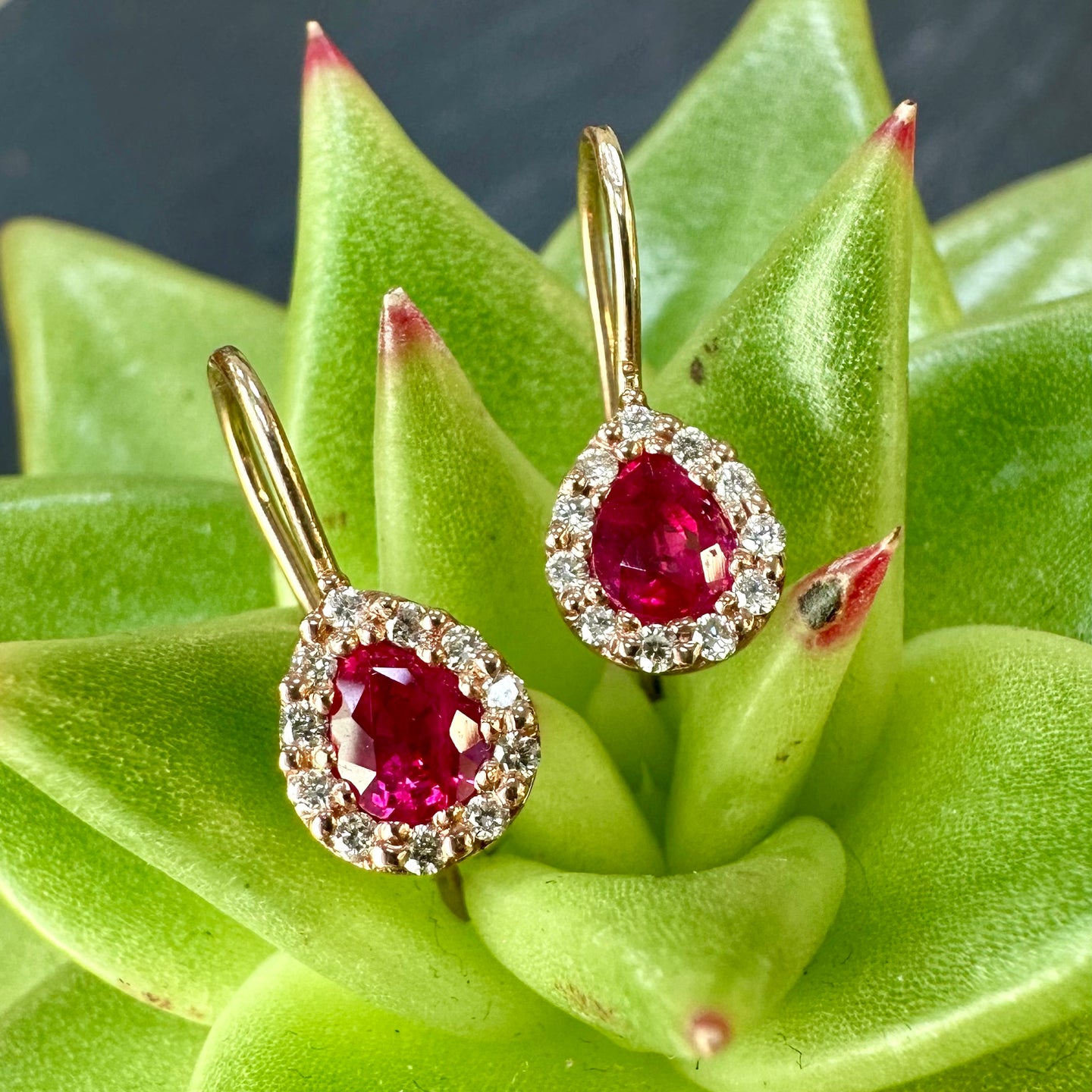9ct Gold Ruby & Diamond Cluster Halo Drops