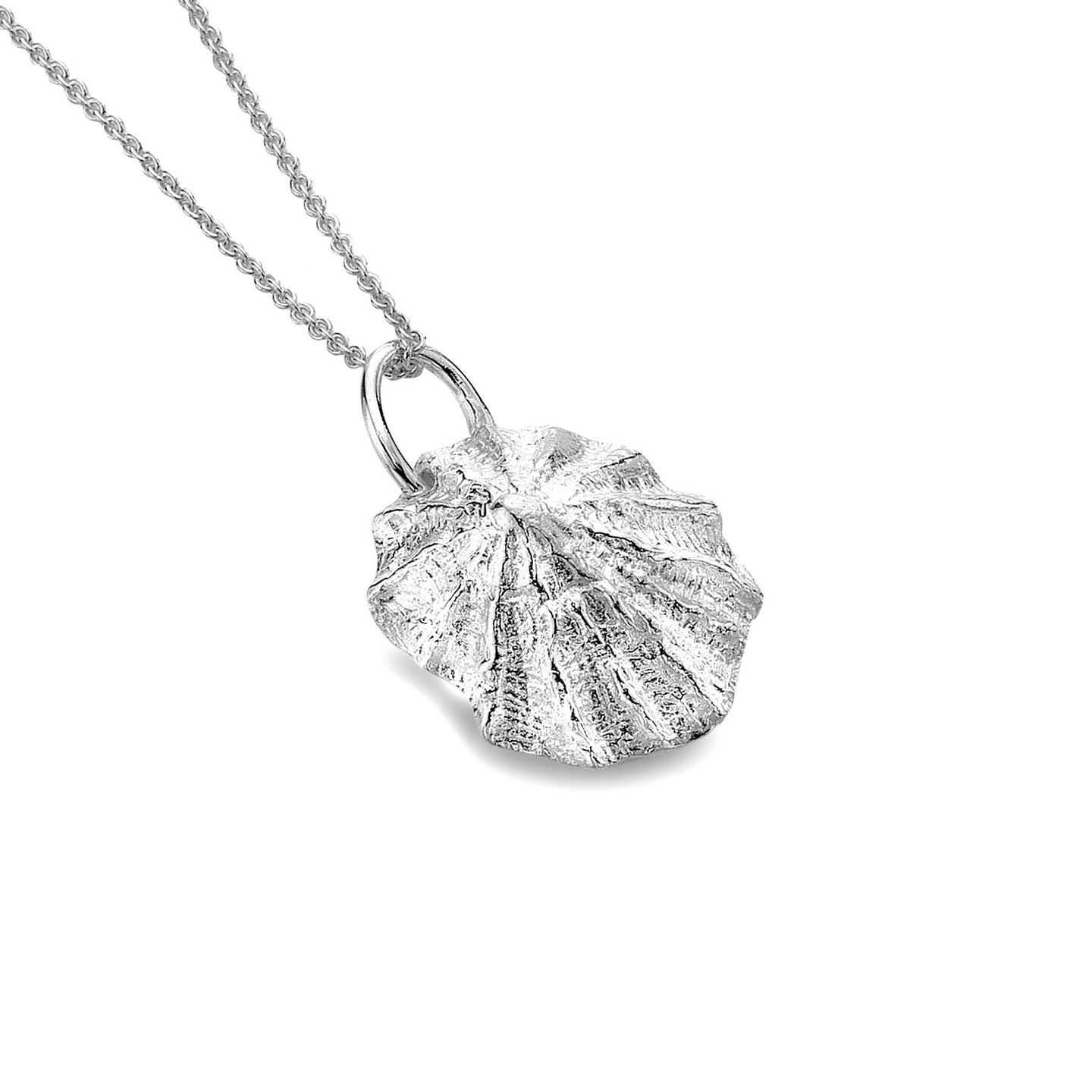 Sterling Silver Limpet Shell Pendant  and Chain