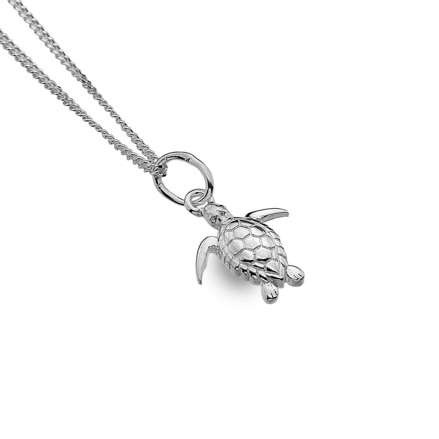 Sterling Silver Turtle Pendant and Chain