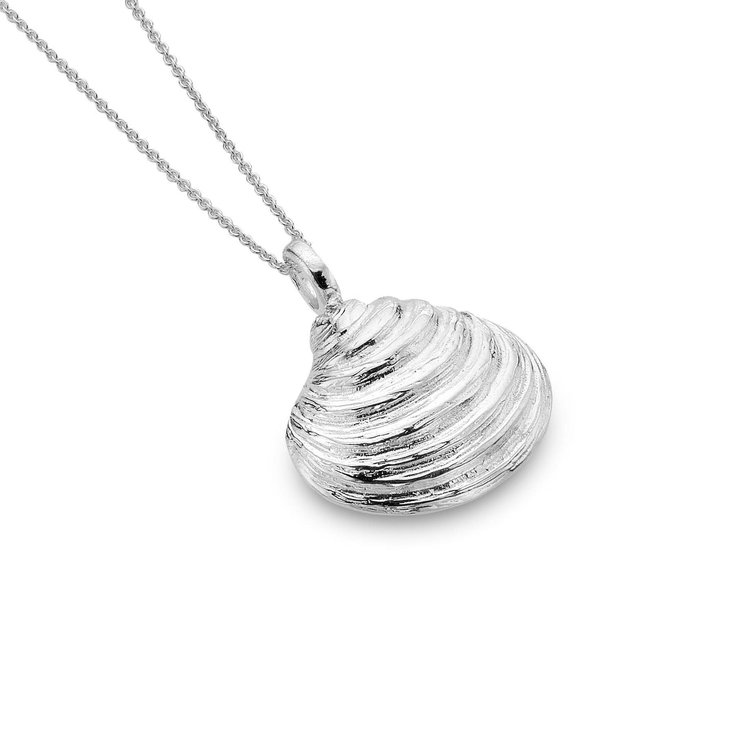 Sterling Silver Baby Clam Shell Pendant and Chain