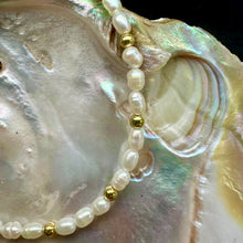 Load image into Gallery viewer, White Freshwater Pearl Necklace With Gold Plated Spacers
