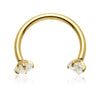 Titanium Internal Circular Barbell with Prong-Set Gems