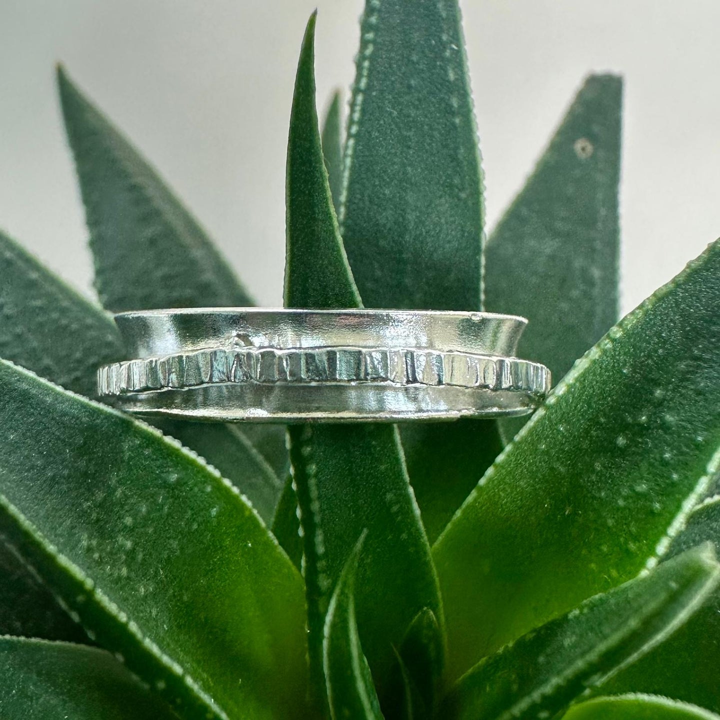 Sterling Silver 5mm Concave Fidget Ring