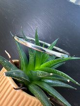 Load image into Gallery viewer, Sterling Silver Plain Polished Oval Shaped Bangle
