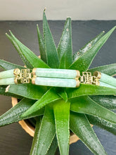 Load image into Gallery viewer, Preloved 9ct Yellow Gold Jade Bracelet
