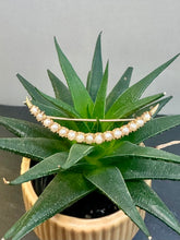 Load image into Gallery viewer, Preloved Victorian 15ct Yellow Gold Natural Pearl Brooch with Box

