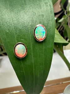 9ct Rose Gold Opal Stud Earrings