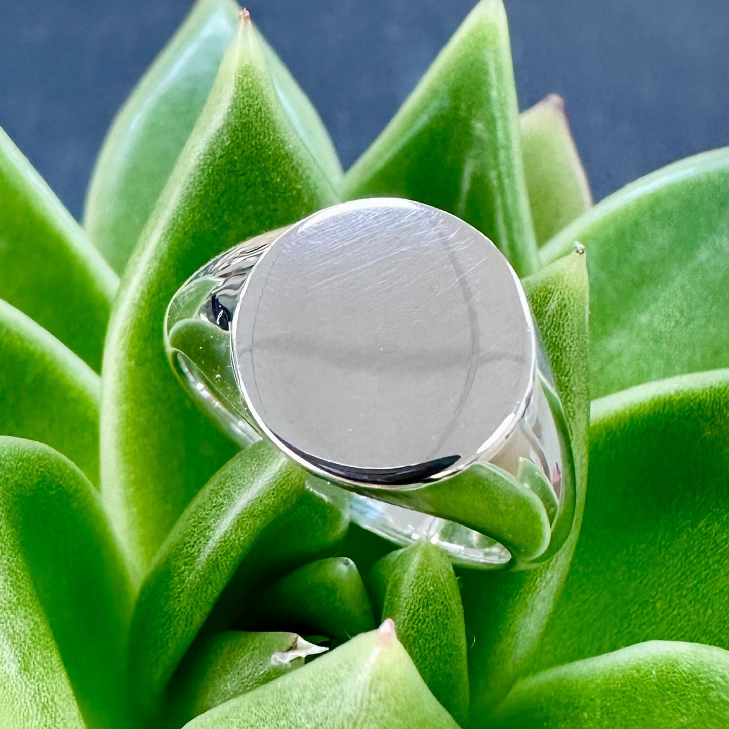 Silver Round Signet Ring