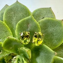 Load image into Gallery viewer, Preloved 9ct Yellow Gold Oval Peridot Studs
