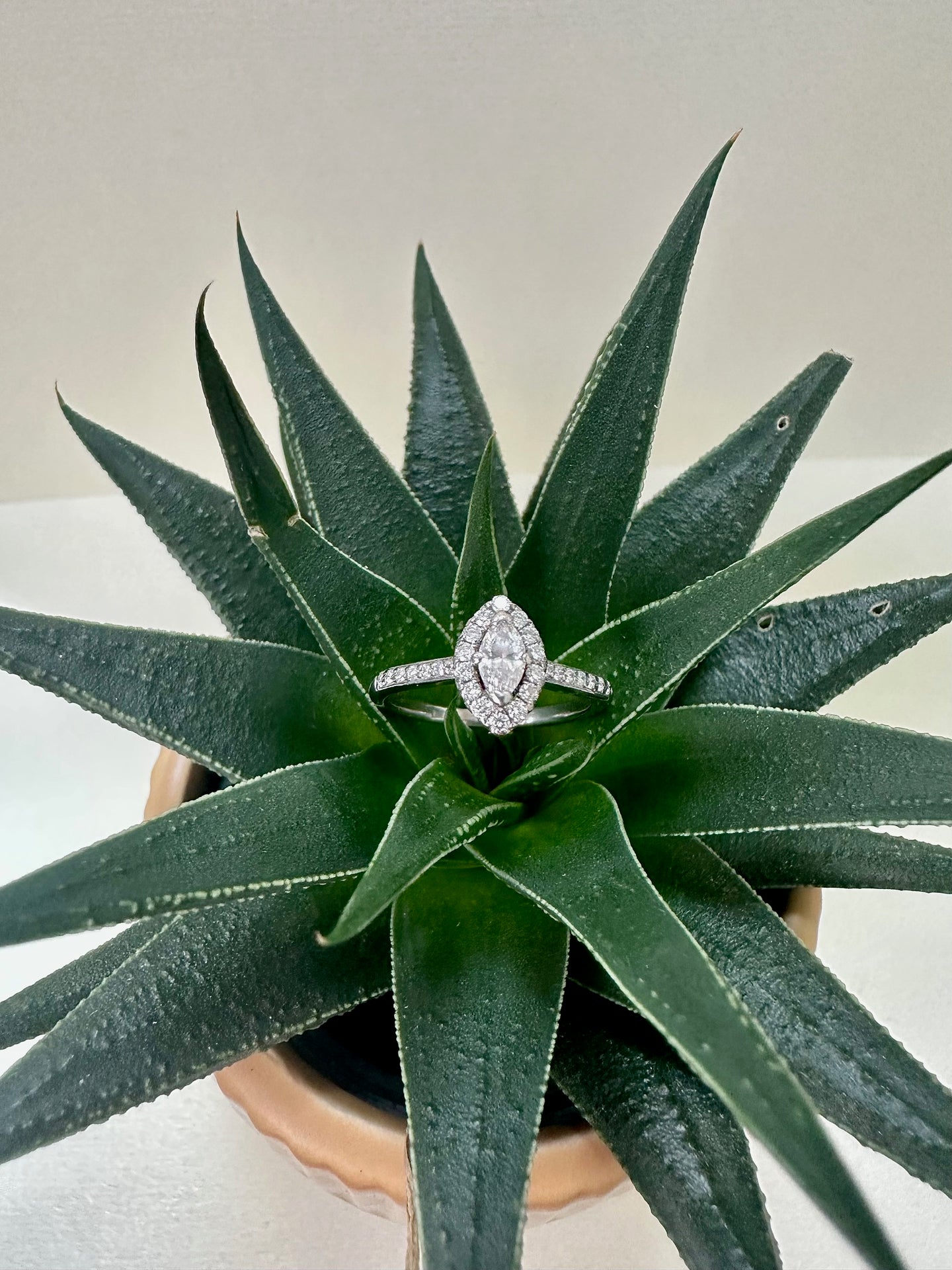 Preloved 18ct White Gold Marquise Diamond Halo Ring