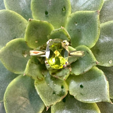 Load image into Gallery viewer, Preloved 9ct Yellow Gold Oval Peridot Ring
