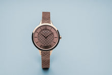 Load image into Gallery viewer, Bering Ladies Rose Gold Classic Round Dial Watch 17831-265
