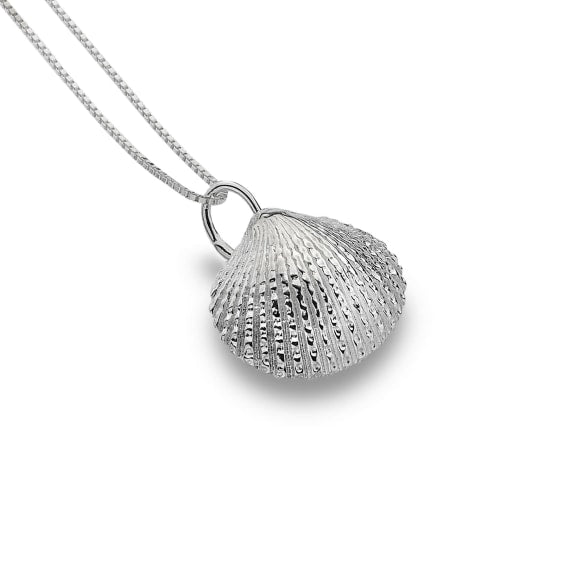 Sterling Silver Cockle Shell Pendant and Chain