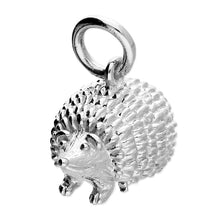 Load image into Gallery viewer, Sterling Silver Hedgehog Pendant
