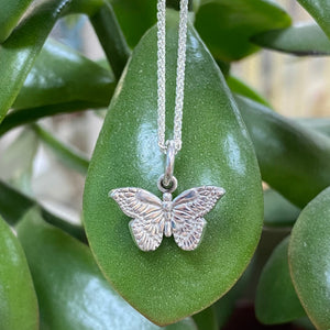 Sterling Silver Butterfly Pendant and Chain