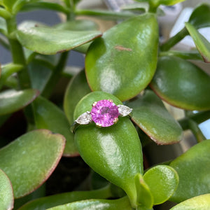 Platinum & Rose Gold Hot Pink Sapphire & Diamond Ring