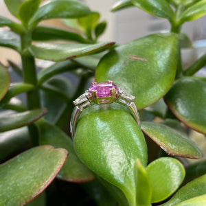 Platinum & Rose Gold Hot Pink Sapphire & Diamond Ring