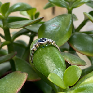 White Gold Ceylon Sapphire & Diamond Ring