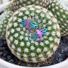 Load image into Gallery viewer, Dragonfly Titanium Stud Earrings
