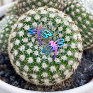 Dragonfly Titanium Stud Earrings