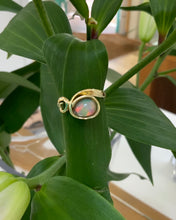 Load image into Gallery viewer, 9ct Yellow Gold Opal Ring
