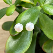 Load image into Gallery viewer, Sterling Silver White Pearl Stud Earrings
