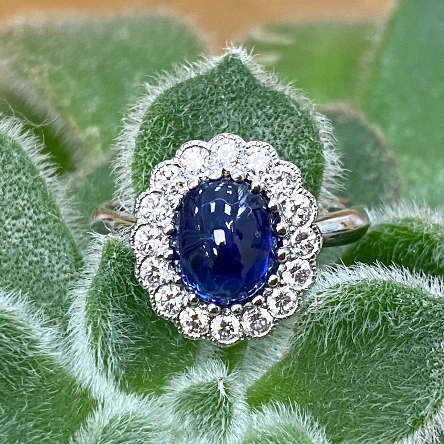 Platinum 2.45ct Cabochon Sapphire & Diamond Cluster Ring