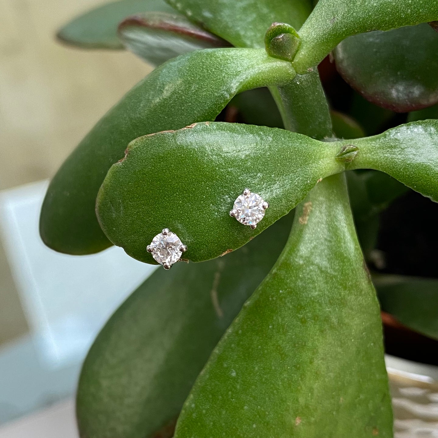 0.40ct Diamond and 18ct White Gold Stud Earrings