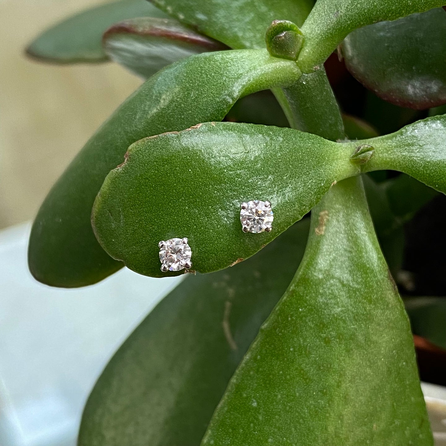 0.30ct Diamond and 18ct White Gold Stud Earrings