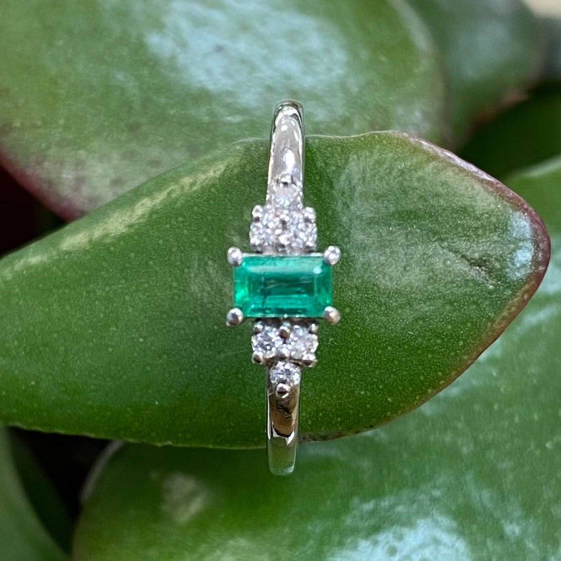 14ct White Gold Emerald & Diamond Ring