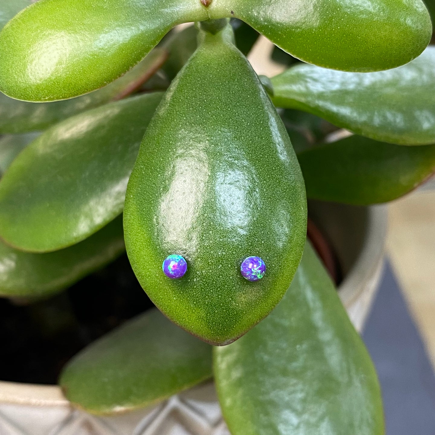 Sterling Silver Purple-Blue Opalite Stud Earrings